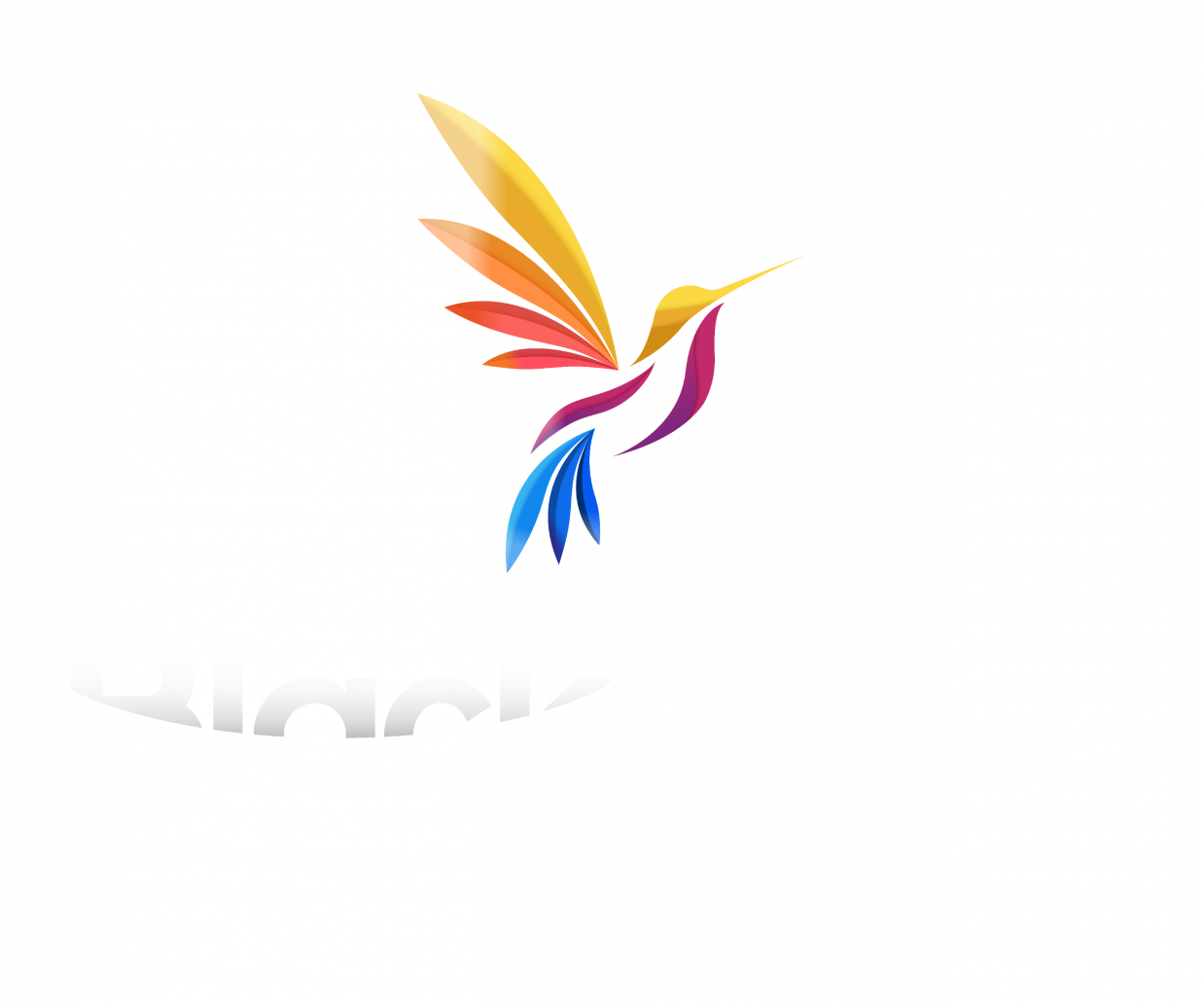 BLACK DESIGNS Logo