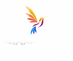 BLACK DESIGNS Logo